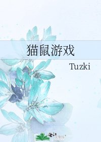 貓鼠遊戲